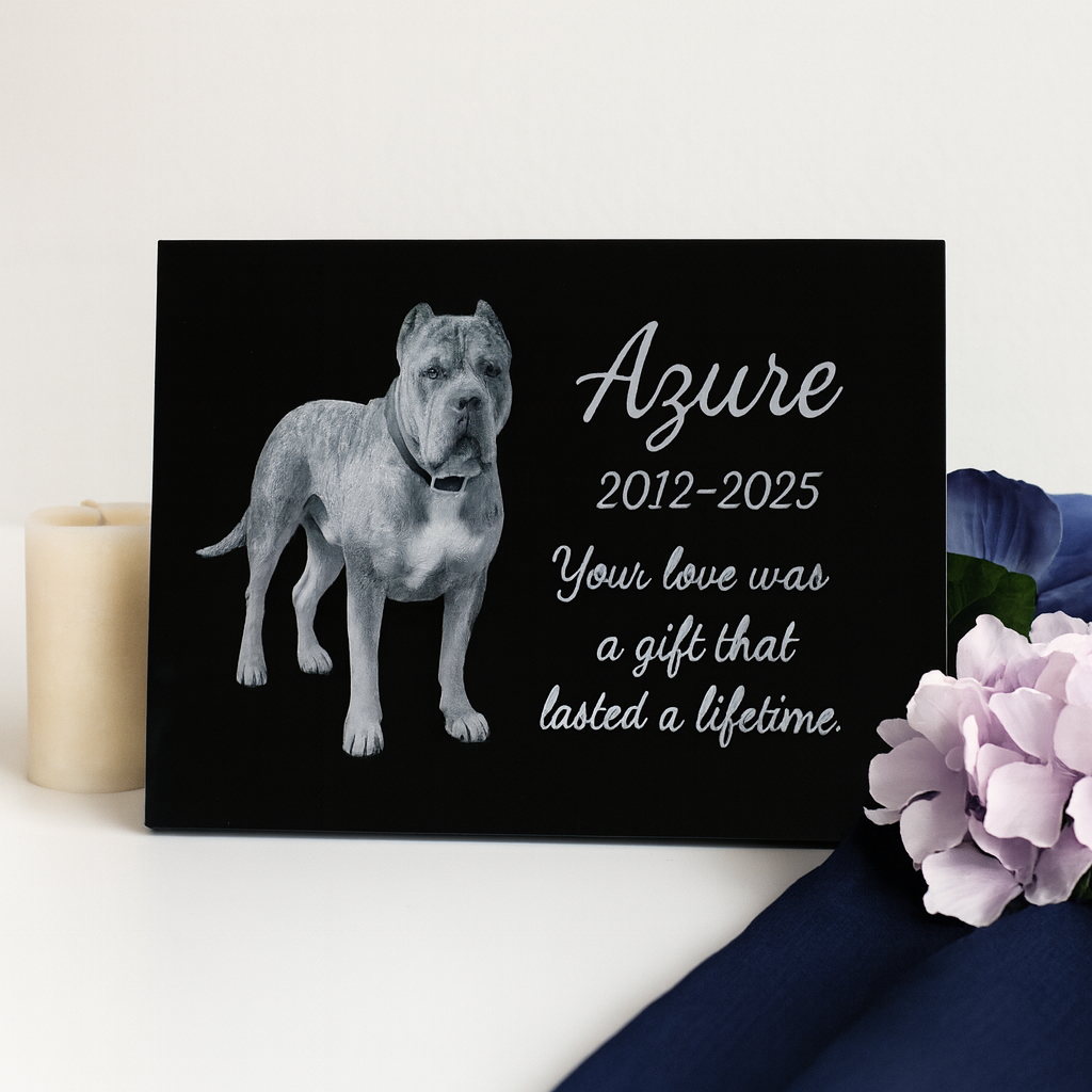 11x14 Custom Pet Portrait – Black Acrylic Engraved Photo