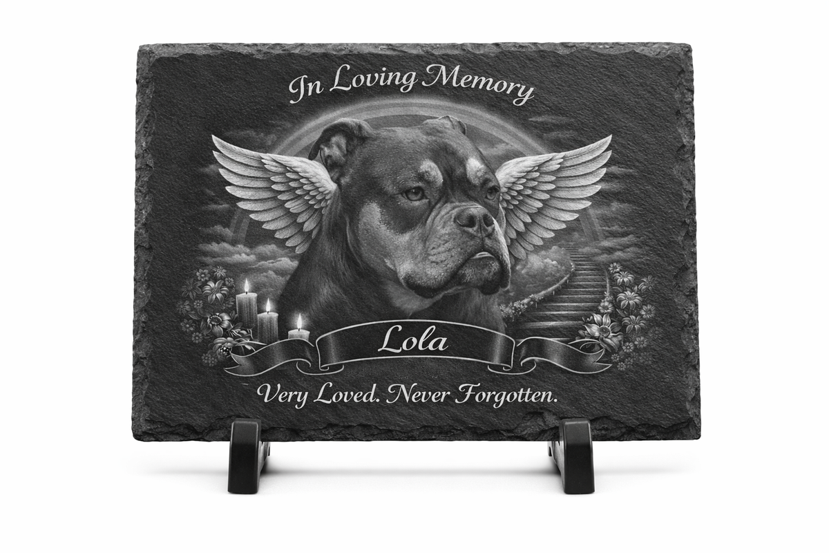 Slate 9x12 Furever Etch Rainbow Bridge Memorial