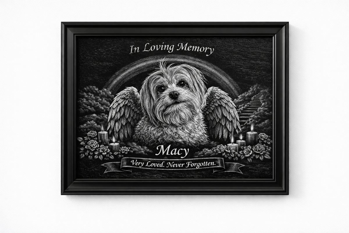 Scratch Canvas 8x10 Furever Etch Rainbow Bridge Memorial
