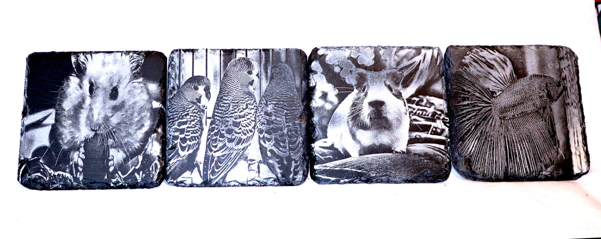 4x4 Custom Pet Portrait – Slate Coaster Engraved Photos (Set Of 4)