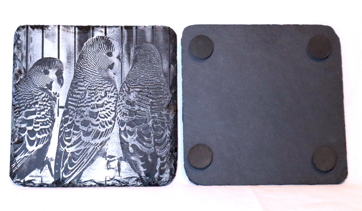 4x4 Custom Pet Portrait – Slate Coaster Engraved Photos (Set Of 4)