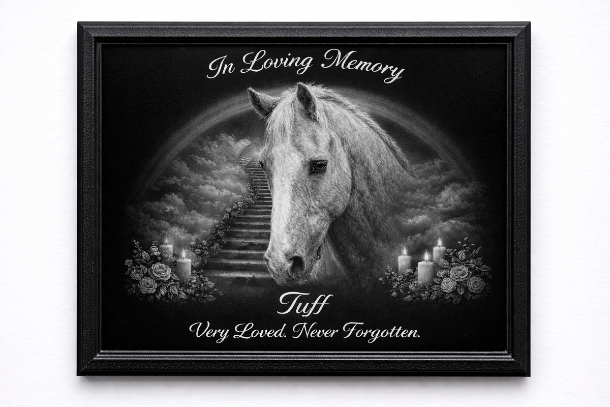 Black Acrylic Framed 8x10 Furever Etch Rainbow Bridge Memorial