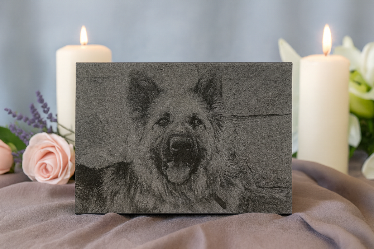 5x7 Custom Pet Portrait – Granite Engraved Photo