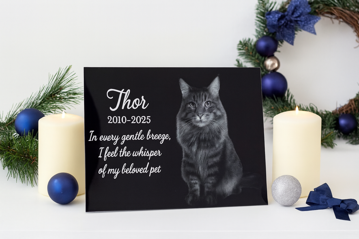 Furever Etch Black Friday Deal – 8x10 Custom Pet Or Person Portrait “Holiday Memories Etched in Light” (Framed)