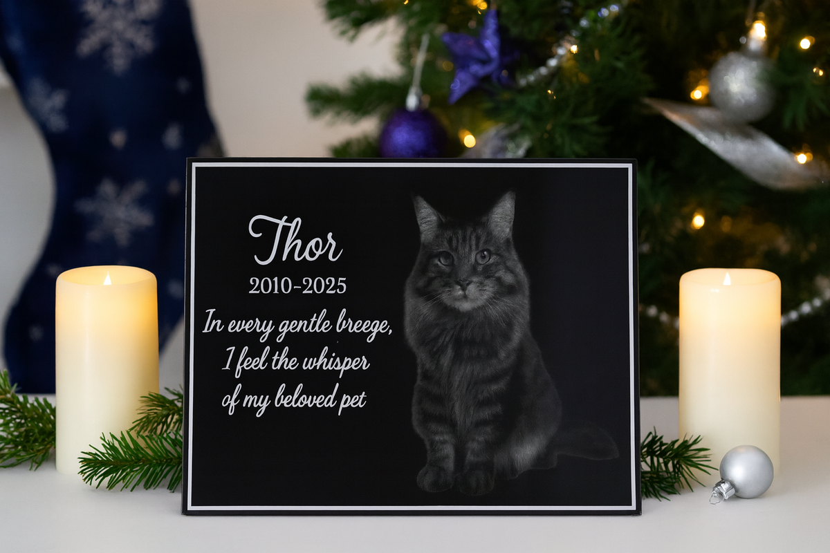 Furever Etch Black Friday Deal – 8x10 Custom Pet Or Person Portrait “Holiday Memories Etched in Light” (Framed)
