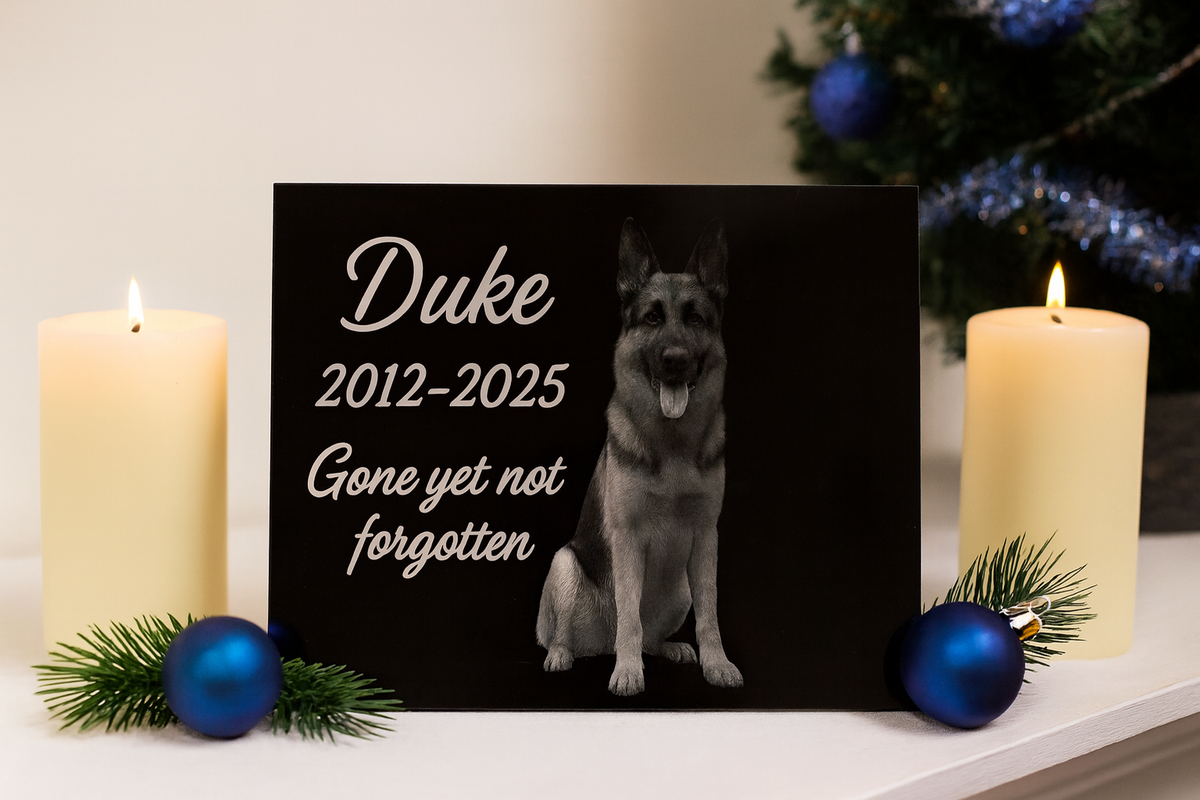 Furever Etch Black Friday Deal – 8x10 Custom Pet Or Person Portrait “Holiday Memories Etched in Light” (Framed)