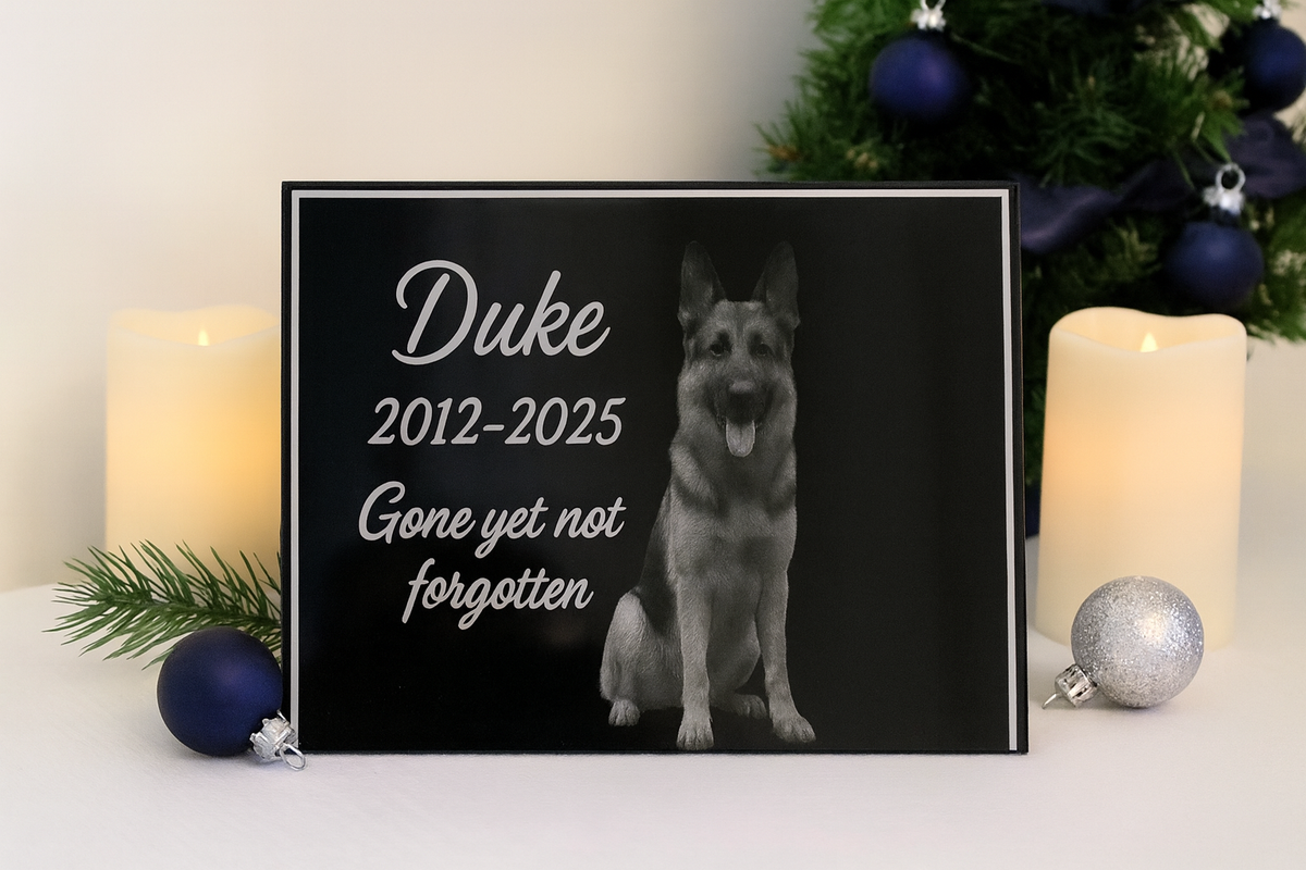 Furever Etch Black Friday Deal – 8x10 Custom Pet Or Person Portrait “Holiday Memories Etched in Light” (Framed)