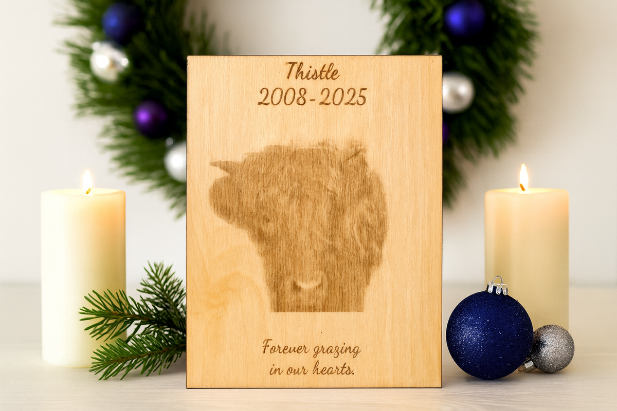 Furever Etch Black Friday Deal – 8x10 Custom Pet Or Person Portrait “Holiday Memories Etched in Light” (Framed)