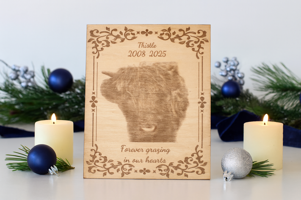 Furever Etch Black Friday Deal – 8x10 Custom Pet Or Person Portrait “Holiday Memories Etched in Light” (Framed)