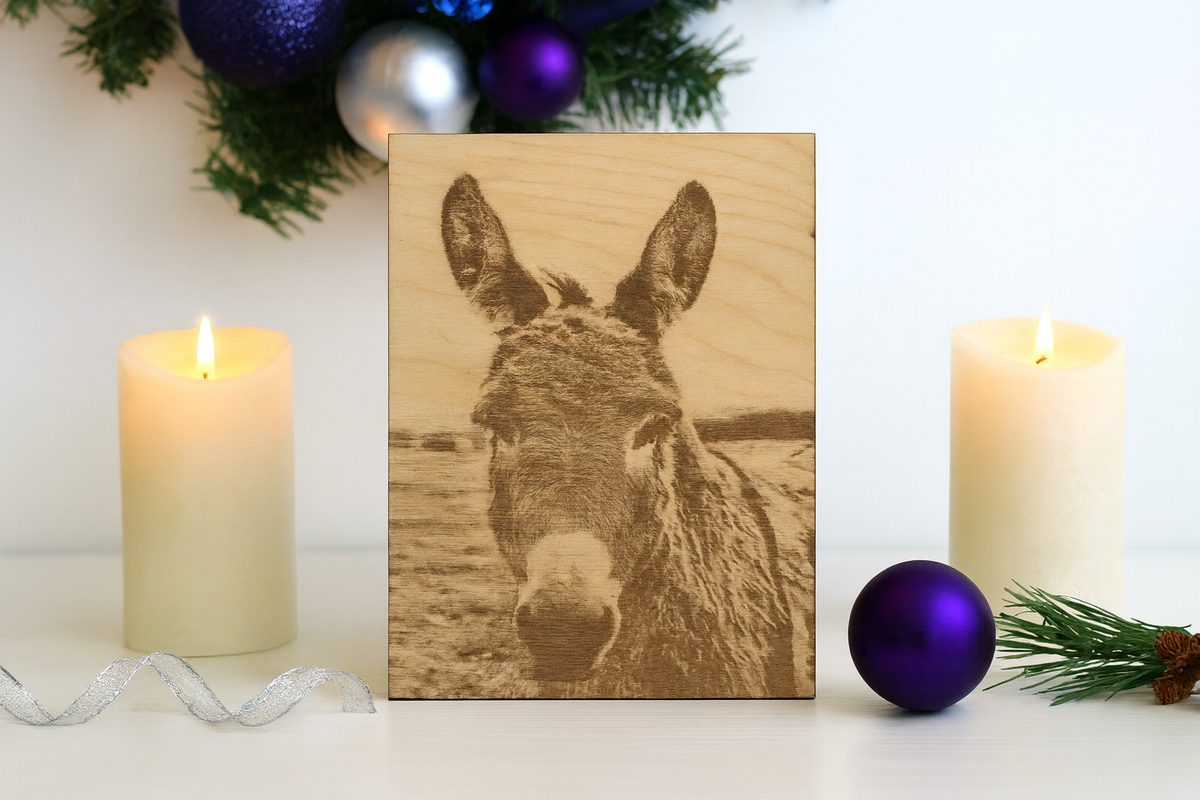 Furever Etch Black Friday Deal – 8x10 Custom Pet Or Person Portrait “Holiday Memories Etched in Light” (Framed)