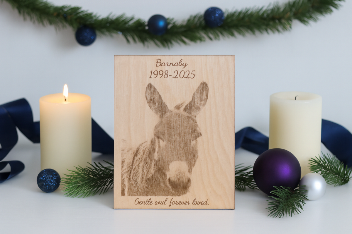 Furever Etch Black Friday Deal – 8x10 Custom Pet Or Person Portrait “Holiday Memories Etched in Light” (Framed)