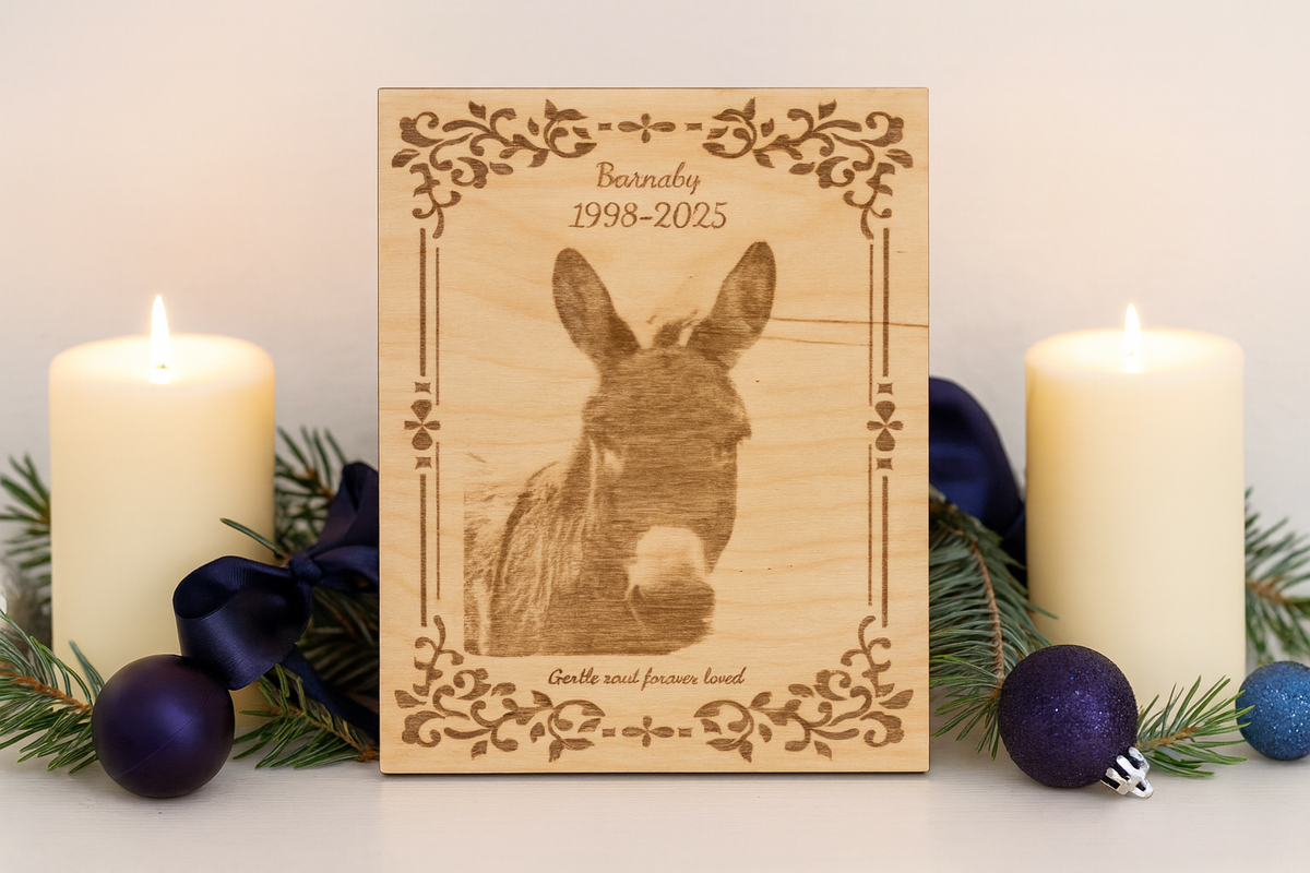 Furever Etch Black Friday Deal – 8x10 Custom Pet Or Person Portrait “Holiday Memories Etched in Light” (Framed)